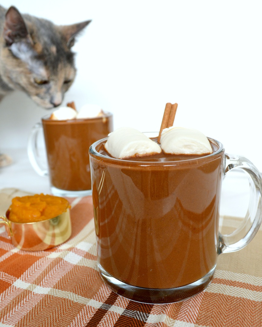 Pumpkin  Chai  Hot  Chocolate  (Vegan) by Plantbased Baker